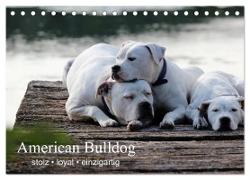 American Bulldog - stolz, loyal, einzigartig (Tischkalender 2024 DIN A5 quer), CALVENDO Monatskalender