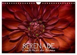 Serenade - Visuelle Musik der Blumen (Wandkalender 2024 DIN A4 quer), CALVENDO Monatskalender