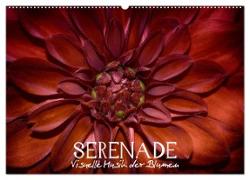 Serenade - Visuelle Musik der Blumen (Wandkalender 2024 DIN A2 quer), CALVENDO Monatskalender