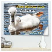 Vom Küken zum Schwan (hochwertiger Premium Wandkalender 2024 DIN A2 quer), Kunstdruck in Hochglanz