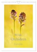 Wilde Orchideen Europas (Wandkalender 2024 DIN A4 hoch), CALVENDO Monatskalender