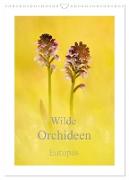 Wilde Orchideen Europas (Wandkalender 2024 DIN A3 hoch), CALVENDO Monatskalender