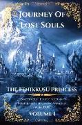 Journey Of Lost Souls: The Fenikkusu Princess