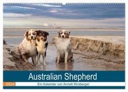 Australian Shepherd 2024 (Wandkalender 2024 DIN A2 quer), CALVENDO Monatskalender