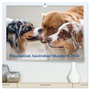 Australian Shepherd 2024 (hochwertiger Premium Wandkalender 2024 DIN A2 quer), Kunstdruck in Hochglanz