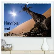 Namibia mal anders (hochwertiger Premium Wandkalender 2024 DIN A2 quer), Kunstdruck in Hochglanz
