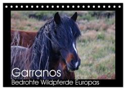 Garranos - Bedrohte Wildpferde Europas (Tischkalender 2024 DIN A5 quer), CALVENDO Monatskalender