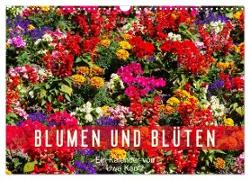 Blumen und Blüten (Wandkalender 2024 DIN A3 quer), CALVENDO Monatskalender