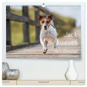 Jack Russell - Klein, aber oho! (hochwertiger Premium Wandkalender 2024 DIN A2 quer), Kunstdruck in Hochglanz