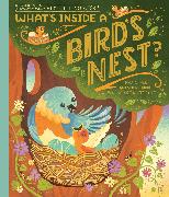 What's Inside A Bird's Nest?