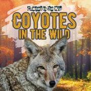 Coyotes in the Wild