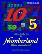 Life Adds Up in Numberland the Musical