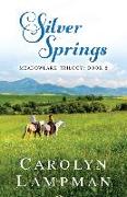 Silver Springs: Meadowlark Trilogy Book 2