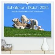 Schafe am Deich 2024. Tierische Impressionen von der Nordseeküste (hochwertiger Premium Wandkalender 2024 DIN A2 quer), Kunstdruck in Hochglanz