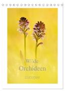 Wilde Orchideen Europas (Tischkalender 2024 DIN A5 hoch), CALVENDO Monatskalender