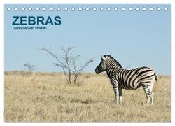 Zebras - Faszination der Streifen (Tischkalender 2024 DIN A5 quer), CALVENDO Monatskalender