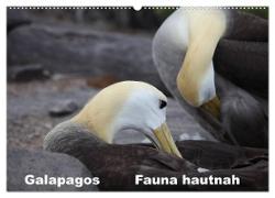 Galapagos. Fauna hautnah (Wandkalender 2024 DIN A2 quer), CALVENDO Monatskalender