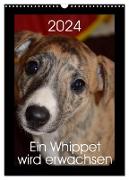 Ein Whippet wird erwachsen (Wandkalender 2024 DIN A3 hoch), CALVENDO Monatskalender