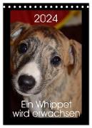 Ein Whippet wird erwachsen (Tischkalender 2024 DIN A5 hoch), CALVENDO Monatskalender