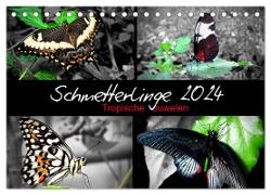 Schmetterlinge 2024 - Tropische Juwelen (Tischkalender 2024 DIN A5 quer), CALVENDO Monatskalender
