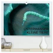 UNTERWASSER KLEINE TIERE (hochwertiger Premium Wandkalender 2024 DIN A2 quer), Kunstdruck in Hochglanz