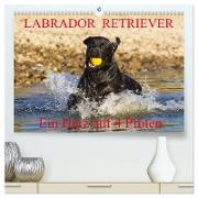 Labrador Retriever - ein Herz auf 4 Pfoten (hochwertiger Premium Wandkalender 2024 DIN A2 quer), Kunstdruck in Hochglanz