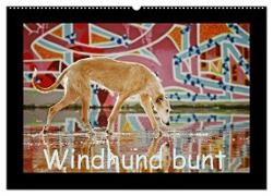 Windhund bunt (Wandkalender 2024 DIN A2 quer), CALVENDO Monatskalender