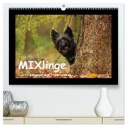 MIXlinge (hochwertiger Premium Wandkalender 2024 DIN A2 quer), Kunstdruck in Hochglanz