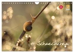 Schneckchen (Wandkalender 2024 DIN A4 quer), CALVENDO Monatskalender