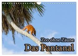 Zoo ohne Zäune - Das Pantanal (Wandkalender 2024 DIN A4 quer), CALVENDO Monatskalender