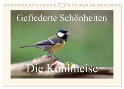 Gefiederte Schönheiten - Die Kohlmeise (Wandkalender 2024 DIN A4 quer), CALVENDO Monatskalender