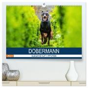 Dobermann 2024 (hochwertiger Premium Wandkalender 2024 DIN A2 quer), Kunstdruck in Hochglanz