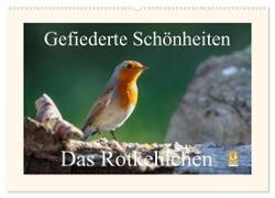 Gefiederte Schönheiten - Das Rotkehlchen (Wandkalender 2024 DIN A2 quer), CALVENDO Monatskalender