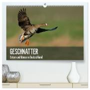 Geschnatter - Enten und Gänse in Deutschland (hochwertiger Premium Wandkalender 2024 DIN A2 quer), Kunstdruck in Hochglanz