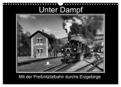Unter Dampf - Mit der Preßnitztalbahn durchs Erzgebirge (Wandkalender 2024 DIN A3 quer), CALVENDO Monatskalender