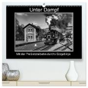Unter Dampf - Mit der Preßnitztalbahn durchs Erzgebirge (hochwertiger Premium Wandkalender 2024 DIN A2 quer), Kunstdruck in Hochglanz