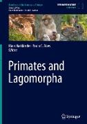 Primates and Lagomorpha