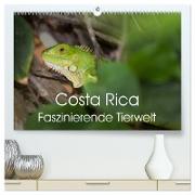 Costa Rica. Faszinierende Tierwelt (hochwertiger Premium Wandkalender 2024 DIN A2 quer), Kunstdruck in Hochglanz