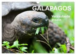 Galapagos. Verzauberte Inseln (Wandkalender 2024 DIN A3 quer), CALVENDO Monatskalender