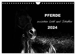 Pferde zwischen Licht und Schatten (Wandkalender 2024 DIN A4 quer), CALVENDO Monatskalender