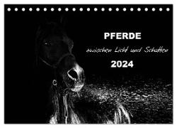 Pferde zwischen Licht und Schatten (Tischkalender 2024 DIN A5 quer), CALVENDO Monatskalender
