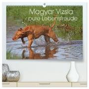 Magyar Vizsla - pure Lebensfreude (hochwertiger Premium Wandkalender 2024 DIN A2 quer), Kunstdruck in Hochglanz