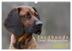 Jagdhunde - Treue Waidgesellen (Wandkalender 2024 DIN A3 quer), CALVENDO Monatskalender
