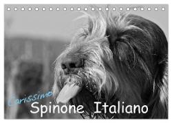 Carissimo Spinone Italiano (Tischkalender 2024 DIN A5 quer), CALVENDO Monatskalender