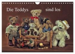 Die Teddys sind los (Wandkalender 2024 DIN A4 quer), CALVENDO Monatskalender