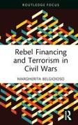 Rebel Financing and Terrorism in Civil Wars