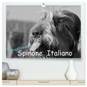 Carissimo Spinone Italiano (hochwertiger Premium Wandkalender 2024 DIN A2 quer), Kunstdruck in Hochglanz