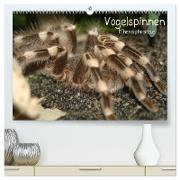Vogelspinnen (Theraphosidae) (hochwertiger Premium Wandkalender 2024 DIN A2 quer), Kunstdruck in Hochglanz