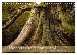 Märchenhafter Reinhardswald und Urwald Sababurg (Wandkalender 2024 DIN A4 quer), CALVENDO Monatskalender