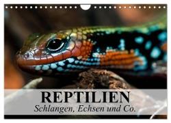 Reptilien Schlangen, Echsen und Co. (Wandkalender 2024 DIN A4 quer), CALVENDO Monatskalender